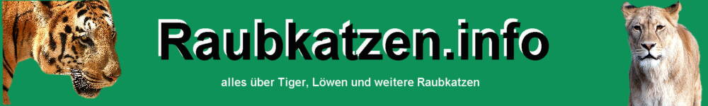 alle bekannten Raubkatzen A-Z Infos Tigerarten Lwenarten